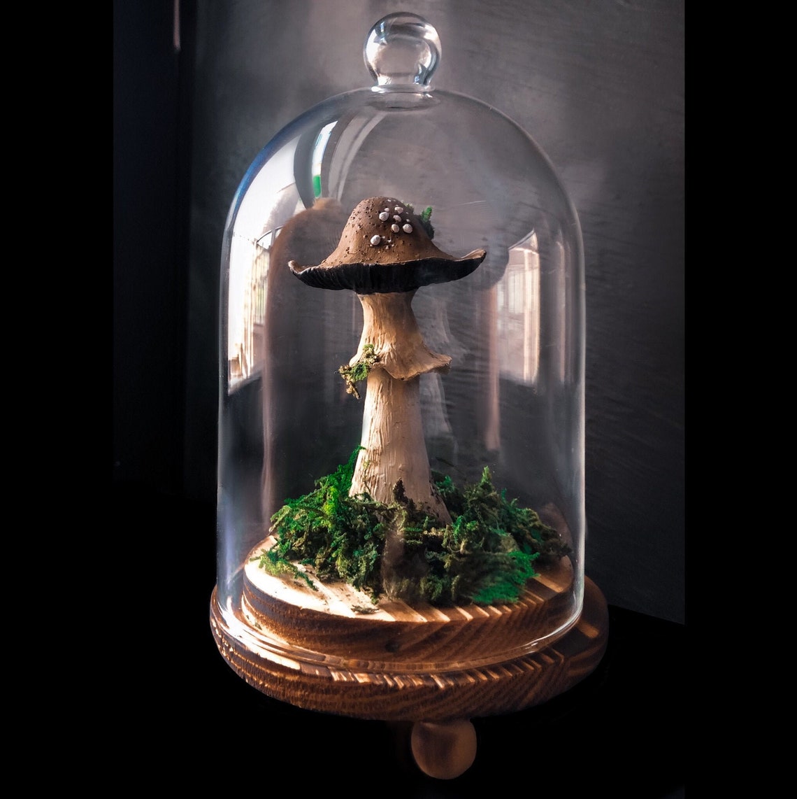 Beautiful Mushroom Cloche Faux Clay Fungi Desk Decor Etsy