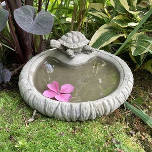 May include: A grey concrete bird bath with a small turtle sculpture on top. The bird bath is filled with water and a pink flower is floating in the water.