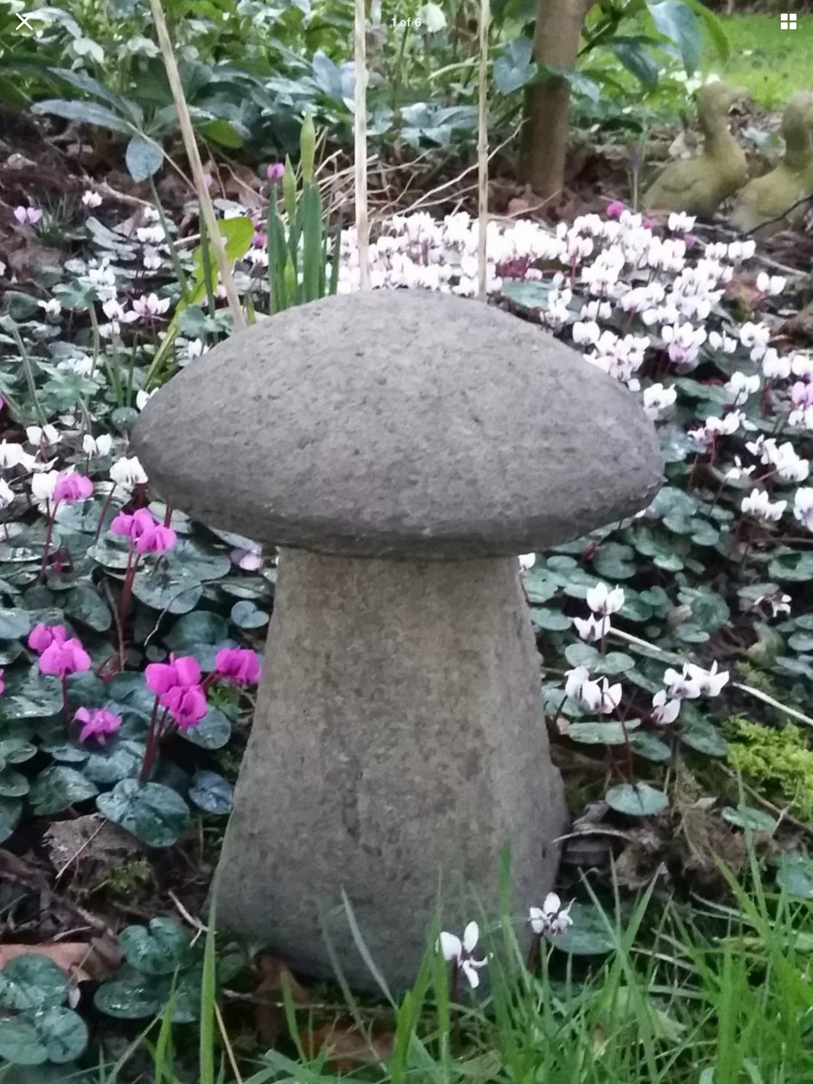 Stone Garden Mushroom / Toadstool Ornament Etsy UK