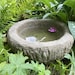 see more listings in the Bird Baths & Feeders section