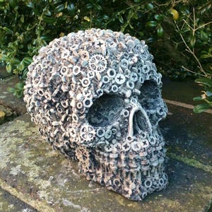 May include: A white skull sculpture made of screws and nuts. The skull is detailed with eye sockets, a nose, and a mouth.