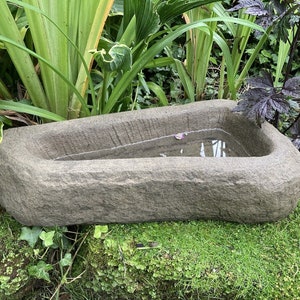 May include: A grey stone bird bath with a rounded shape and a shallow basin filled with water. The bird bath is sitting on a bed of green moss.