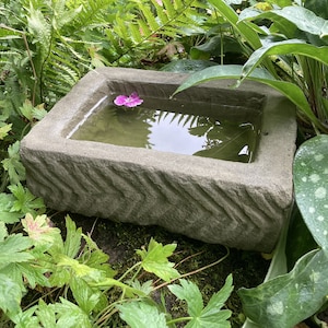 May include: A rectangular stone bird bath filled with water, with a pink flower floating on the surface. The bird bath has a textured, carved design on the sides and is surrounded by lush green foliage.