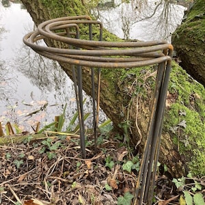 May include: A set of five rusty metal plant supports, each with a curved top, are leaning against a tree trunk near a pond. The supports are arranged in a staggered pattern, with the tallest one at the back and the shortest one at the front. The supports are made of thick metal and have a rustic, weathered look.