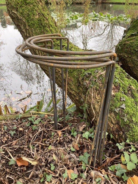 SJLERST Lot De 6 Piquets De Support Pour Plantes En Métal Anneau De