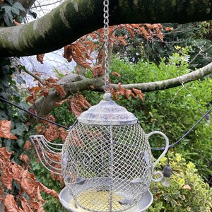May include: A metal bird feeder in the shape of a teapot, hanging from a tree branch. The feeder has a wire mesh design with a weathered appearance, including a lid, handle, and spout. A small dish at the base is for bird food.