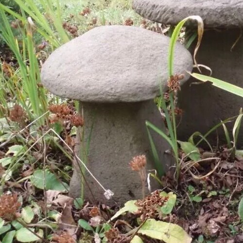 Stone Garden Traditional Large Toadstool Mushroom 2 Piece Etsy UK