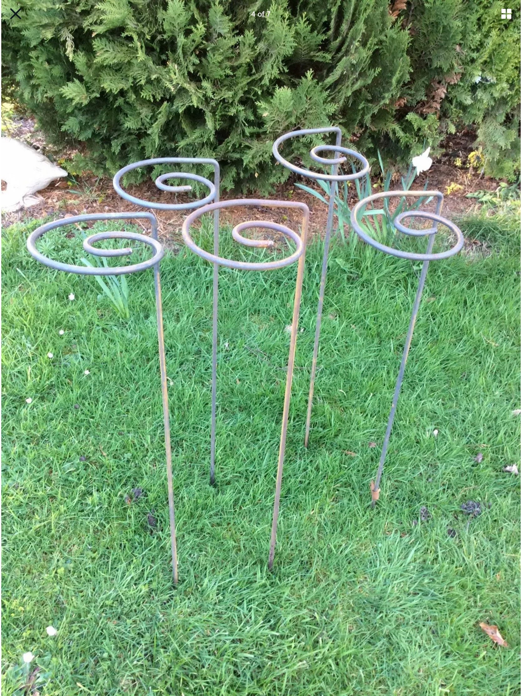 Set of 12 Rusty Metal Swirl Plant Supports / Stands Garden Etsy