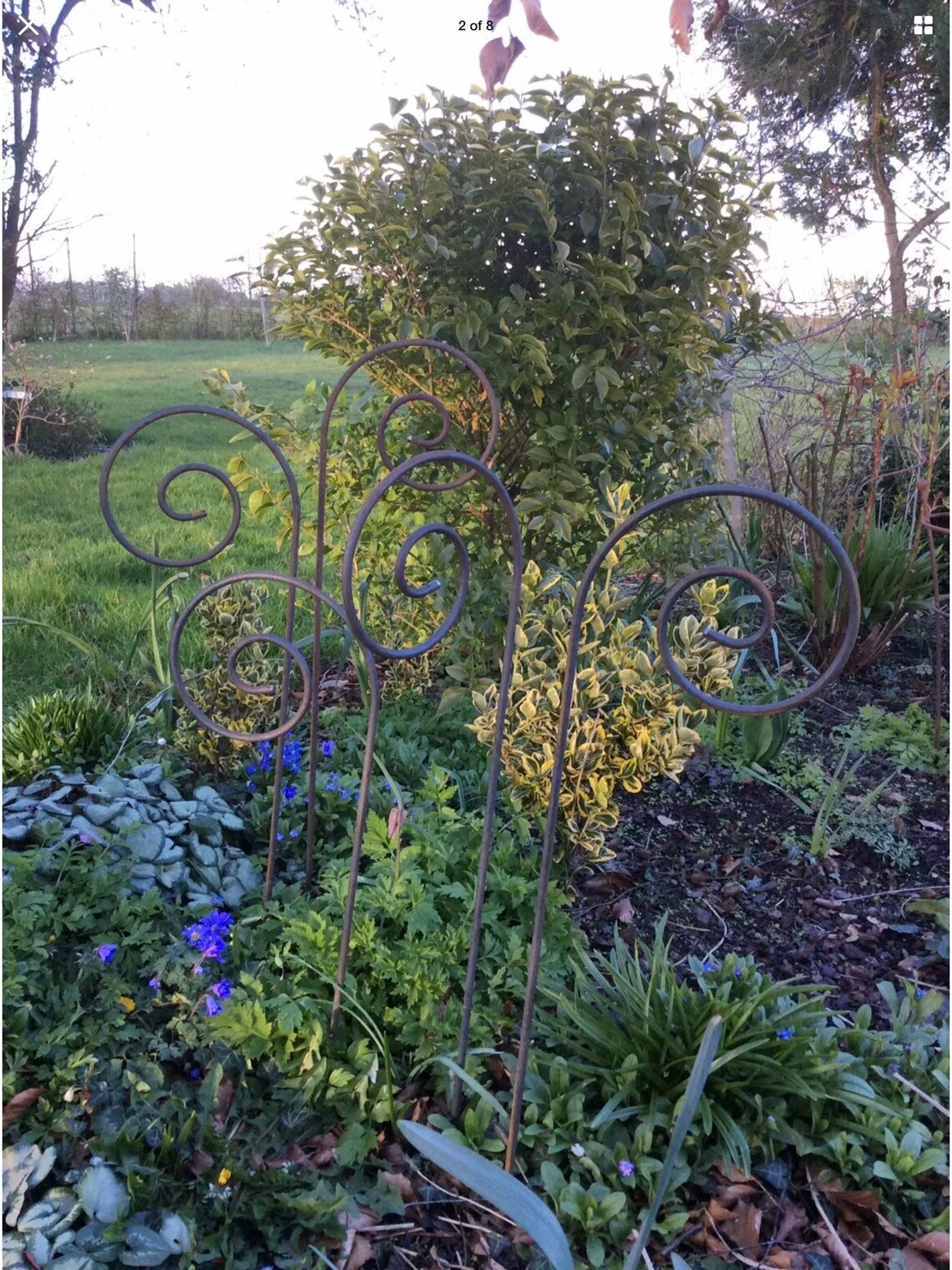 Set of 5 Rusty Metal Swirl Plant Supports / Stands Garden Etsy