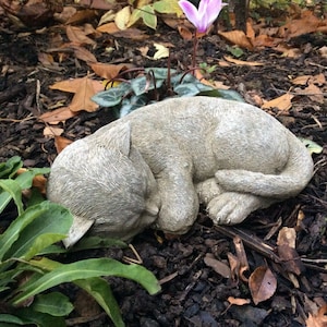 May include: A stone cat sculpture in a curled sleeping position, nestled among mulch and greenery. The cat is a light gray color, with detailed fur texture. A pink flower and green foliage are in the background.