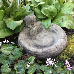 May include: A grey stone bird bath shaped like a frog with a textured surface. The bird bath is surrounded by green plants and pink flowers.