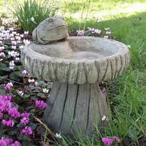May include: A weathered concrete bird bath, topped with a frog sculpture. The bird bath features a textured rim and a base resembling a tree trunk. The garden setting includes pink and white flowers and green grass.