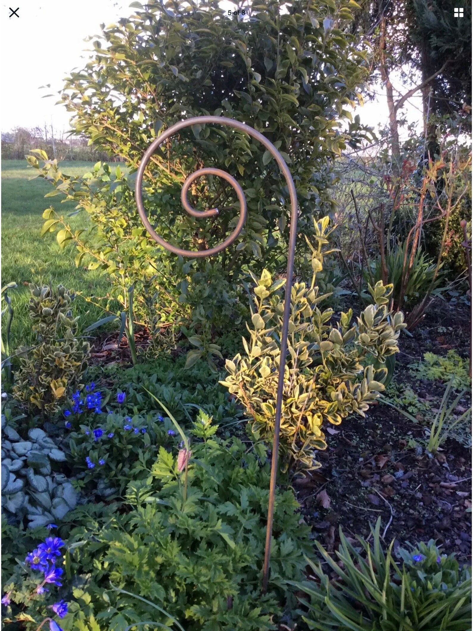 Set of 5 Rusty Metal Swirl Plant Supports / Stands Garden Etsy