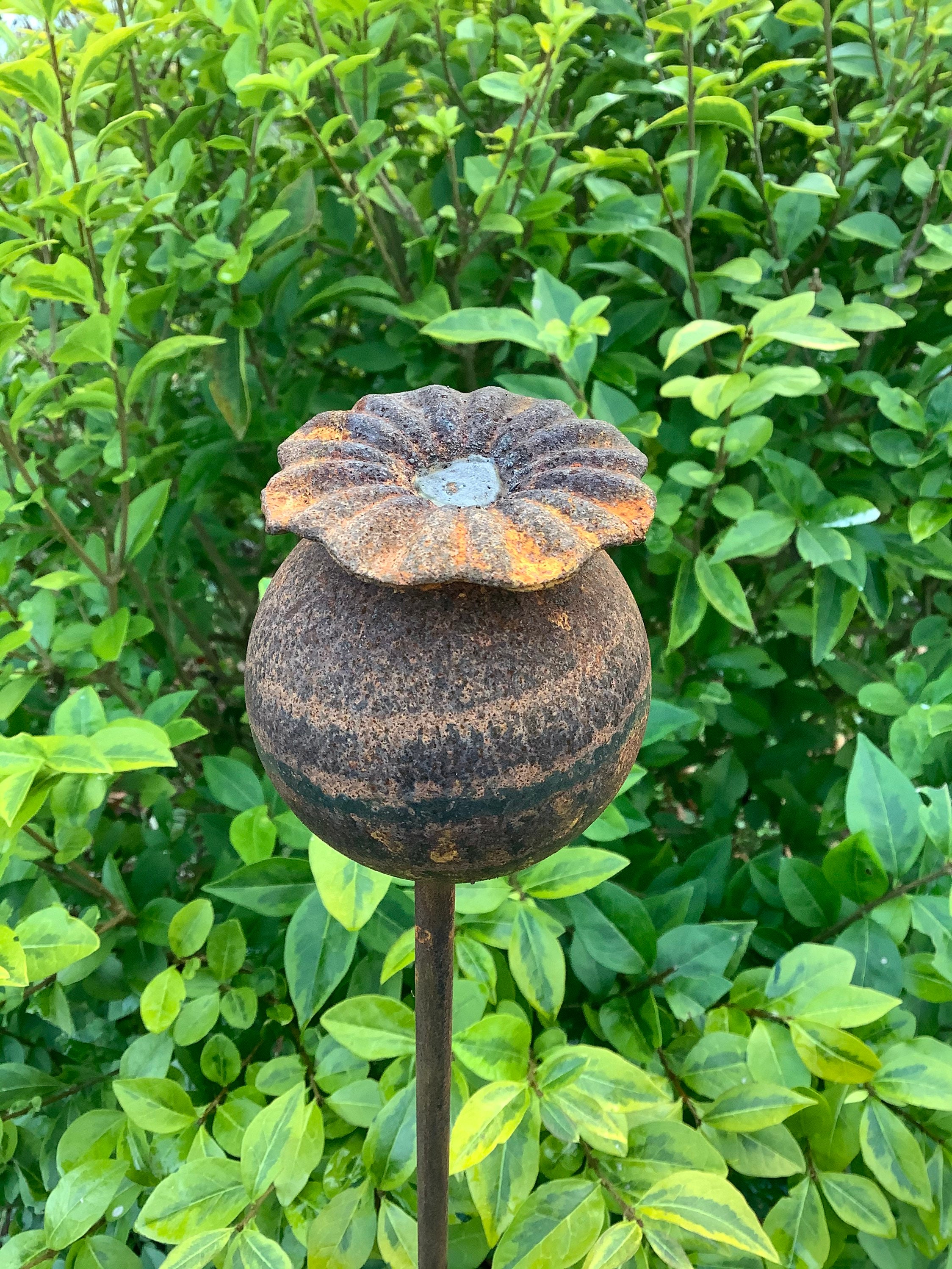 Set of 3 Large Rusty Metal 1.5m Poppy Seed Head Plant Supports Etsy UK