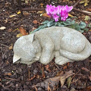 May include: A light gray, sleeping cat statue with detailed fur texture. The cat is curled up, with its head resting on its paws. The statue is placed outdoors, near pink flowers and fallen leaves.