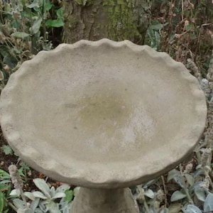 May include: A concrete bird bath with a scalloped edge. The bath is light grey and has a slightly textured surface.