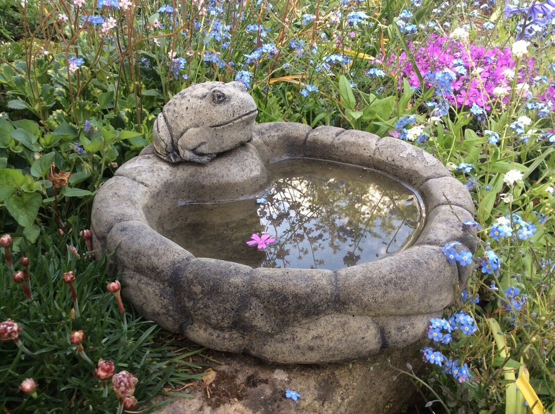 Reconstituted Stone Frog Bird Bath / Feeder Ornament Etsy UK