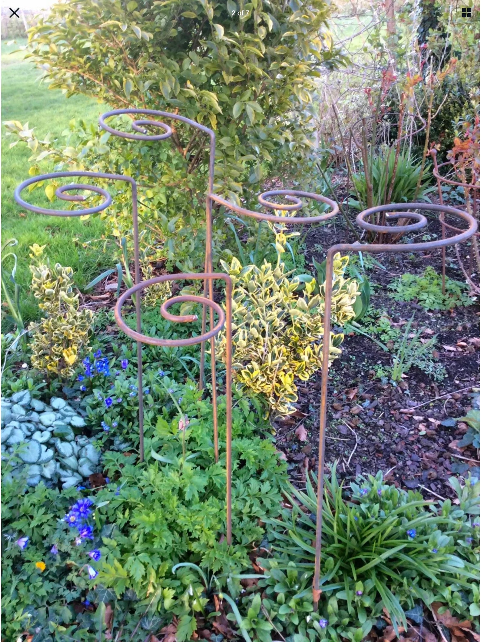 Set of 10 Rusty Metal Swirl Plant Supports / Stands Garden Steel Etsy UK