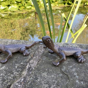 May include: Two cast iron lizard figurines, one facing left and one facing right, are placed on a grey stone surface. The lizards are a dark brown colour and have detailed features.