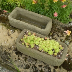 Reconstituted Stone Garden Small Alpine Trough Sempervivum Planter