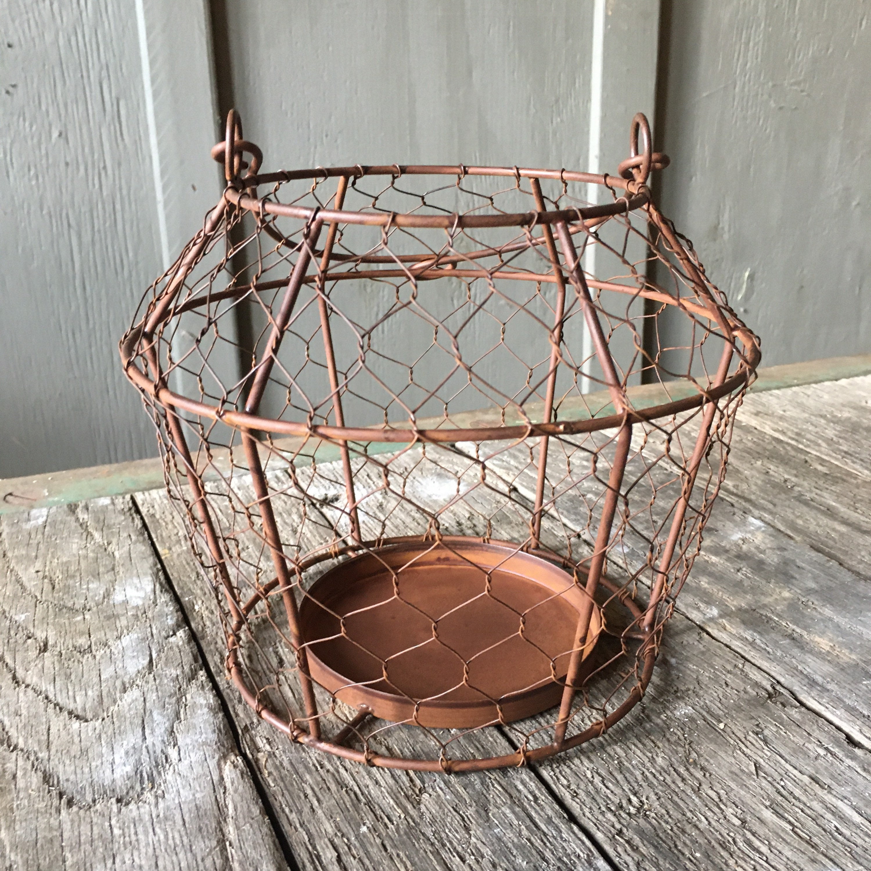 Round Chicken Wire Basket Lantern Display Candle Holder Hen Etsy