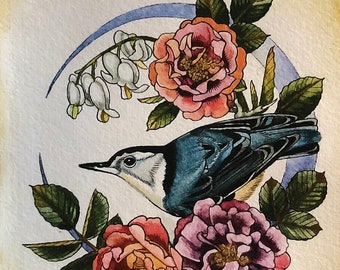 Nuthatch and roses