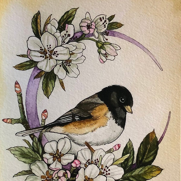 Junco and Asian pear blossoms