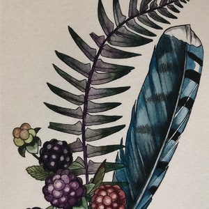 Jay feather with blackberries and fern