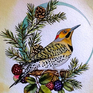 May include: A watercolor painting of a yellow-bellied sapsucker perched on a branch with berries and pine cones. The bird is facing right and has a red crown and black and white markings. The background is a soft yellow with a blue crescent moon.