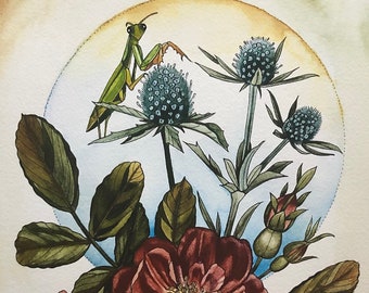 Rose with thistle and mantis for GRASP