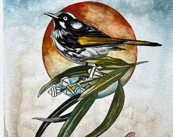 Honeyeater with eucalyptus and dragonfly