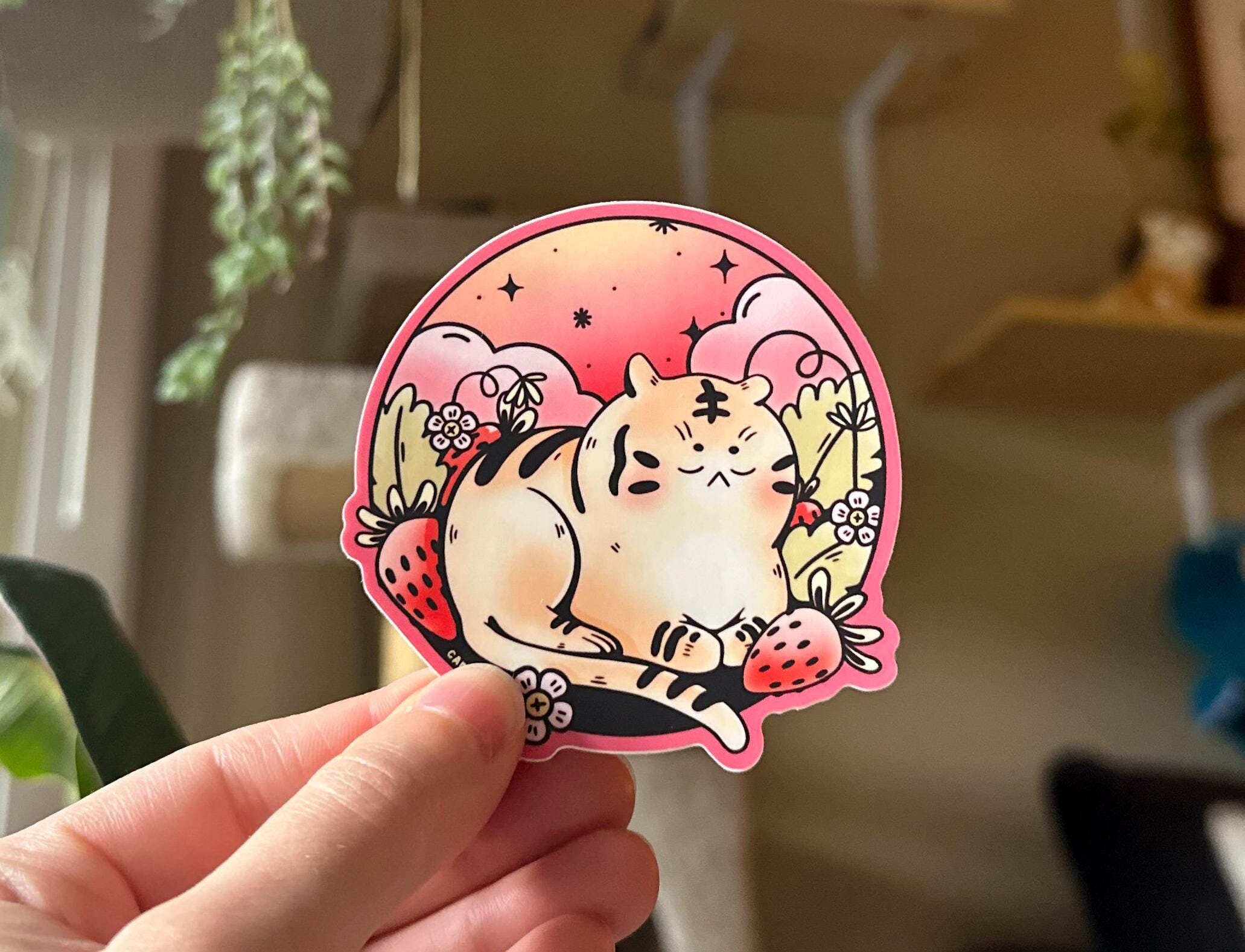 Strawberry Kitty Vinyl Strawberry Kitty Vinyl
