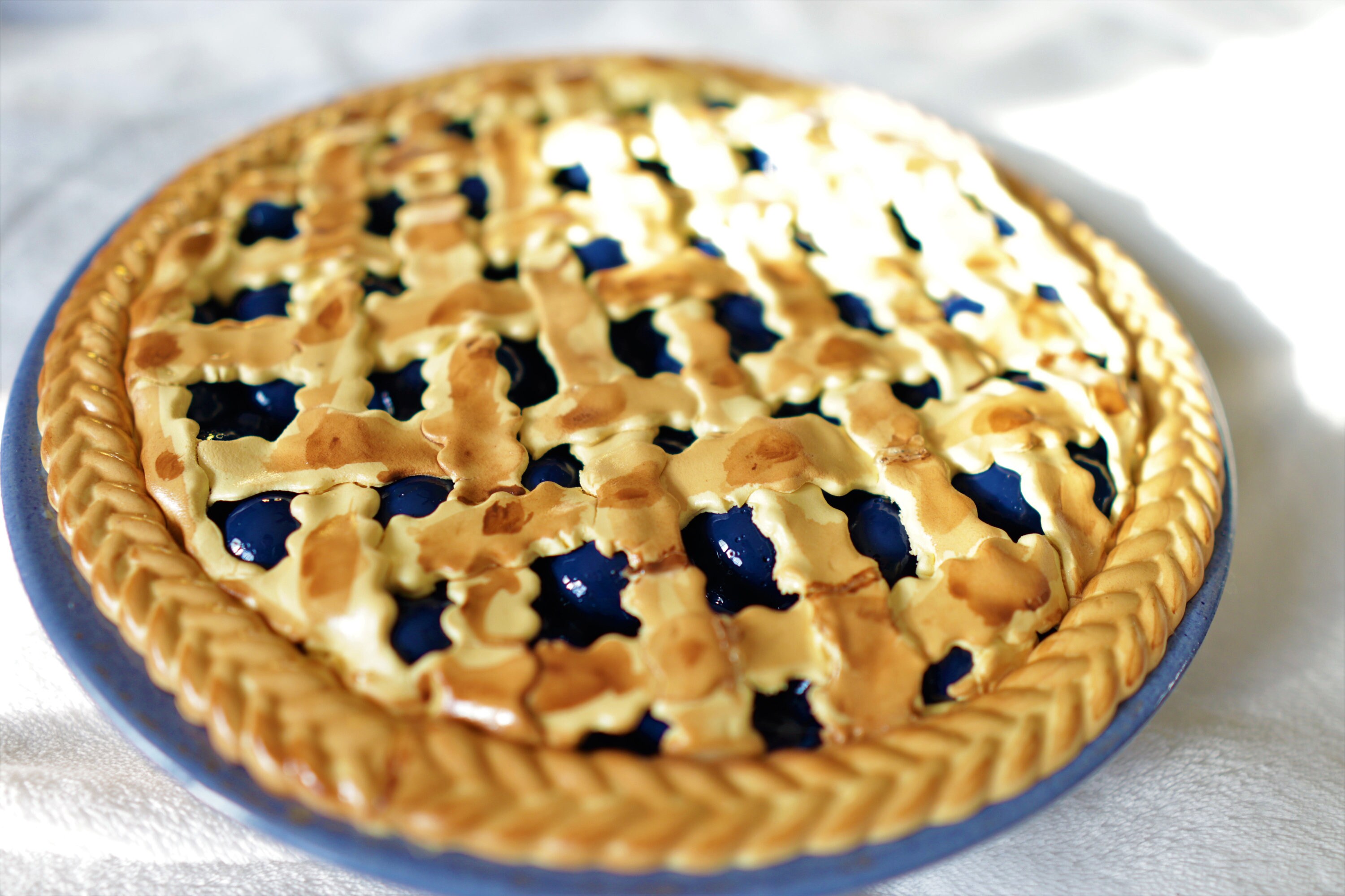 Faux Blueberry Pie Fake Large 10in Pies Dessert Display Etsy