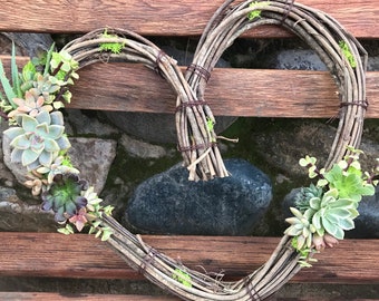 LIVE hanging succulent topped grapevine heart wreath, hanging succulent decor, holiday gift idea, mini succulent wreaths, living gift