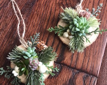 LIVE succulents on wood ornament, succulent ornament, plant ornament, christmas ornament, holiday decor, gift idea, wood ornament