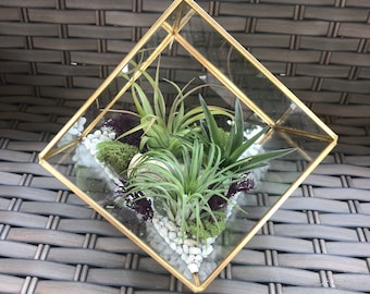 Glass Geometric Gold Terrarium with Air Plants, KIT to make terrarium, DIY kit to make your own terrarium, air plants, terrarium