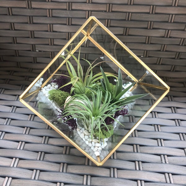 Glass Geometric Gold Terrarium with Air Plants, KIT to make terrarium, DIY kit to make your own terrarium, air plants, terrarium