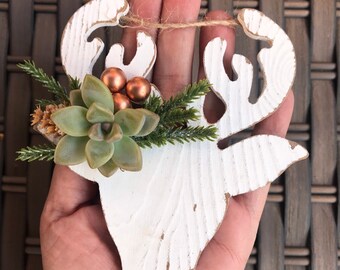 LIVE succulent wood ornament, succulent ornament, christmas ornament, holiday decor, gift idea, reindeer, ornament exchange, living gift