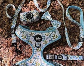 Dog Harness Set Floral Dog Harness and Lead Set Puppy Harness and Lead Eucalyptus Harness Dog Cute Dog Collar and Lead Set Mint Dog Harness