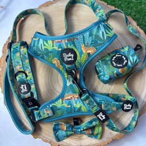 Dog Harness Set Leopard Print Harness and Lead Set Puppy Harness and Lead Safari Harness Dog Cute Dog Collar and Lead Leopard  Dog Harness