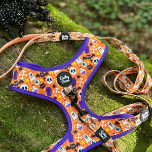 Dog Harness Set Halloween Dog Harness and Lead Set Pumpkin Harness and Lead Spooky Harness Dog Cute Dog Collar and Lead Set  Dog Harness