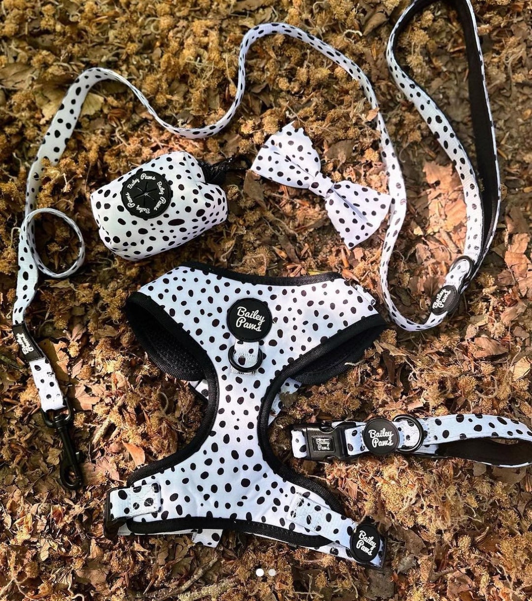 Dog Harness Set Polka Dot Dog Harness and Lead Set Puppy Harness and Lead Spotty Harness Dog