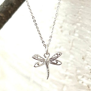 Puede incluir: Un collar de plata con un delicado colgante de libélula. La libélula está detallada con alas intrincadas y un cuerpo texturizado.