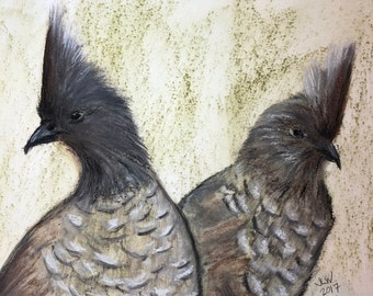Two Gray and Black birds heads turned. 7x10 Original Artwork in Oil Pastels