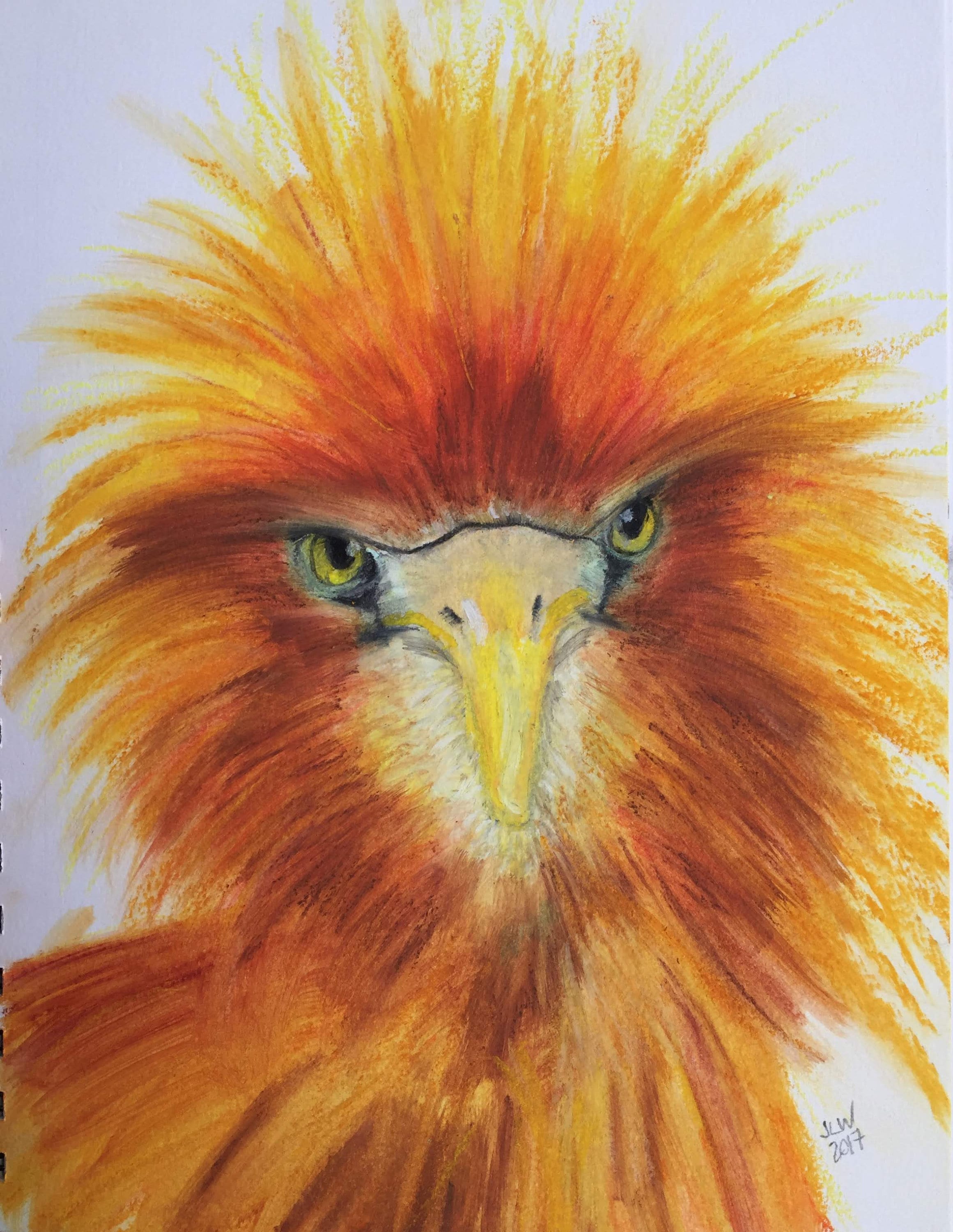Intense Hairy Orange Bird Hand Drawn Original Artwork 7x10 - Etsy