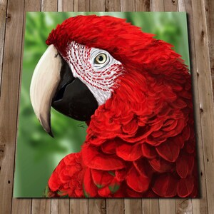 コンゴウインコの積み重ね絵画プリント - 壁アート、鳥の積み重ね