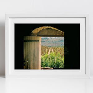 Batroun Lebanon Vineyard Photography Print