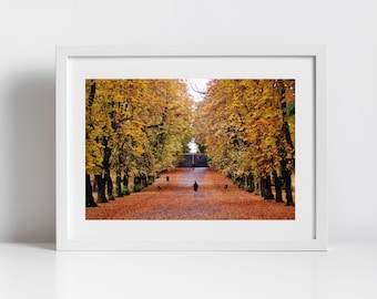 Glasgow Queen's Park Autumn Fall Foliage Photography Print Poster Wall Art