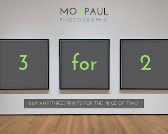 Gallery Wall Set Mix And Match Choose Any Three Prints