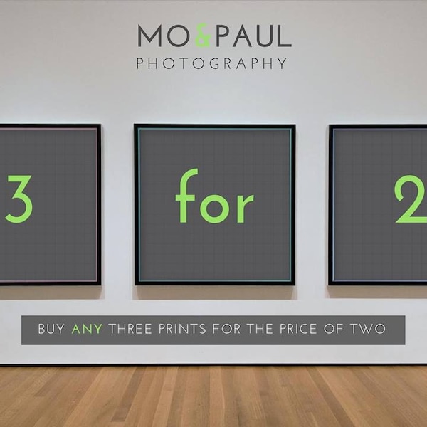 Gallery Wall Set Mix And Match Choose Any Three Prints